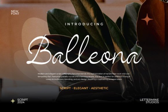 Balleona Font: An Elegant Typeface for Modern Web Design