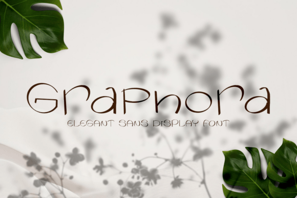Graphora: The Elegant Display Font for Modern Web Design