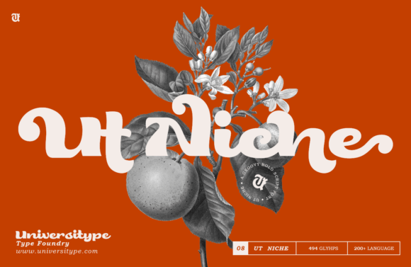 Ut Niche: A Script Amp Typeface with Antiquated Charm for Modern Brands
